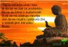 Psiholog online
